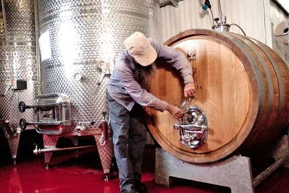 החביות ביקב לוריא